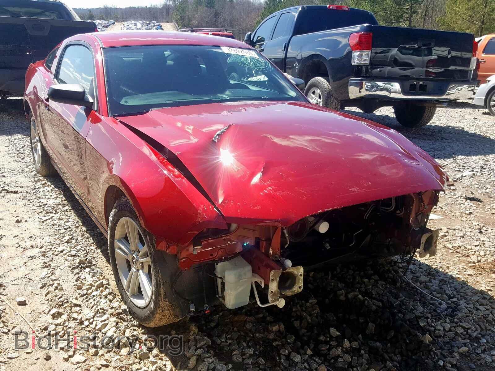 Photo 1ZVBP8AM2E5260671 - FORD MUSTANG 2014