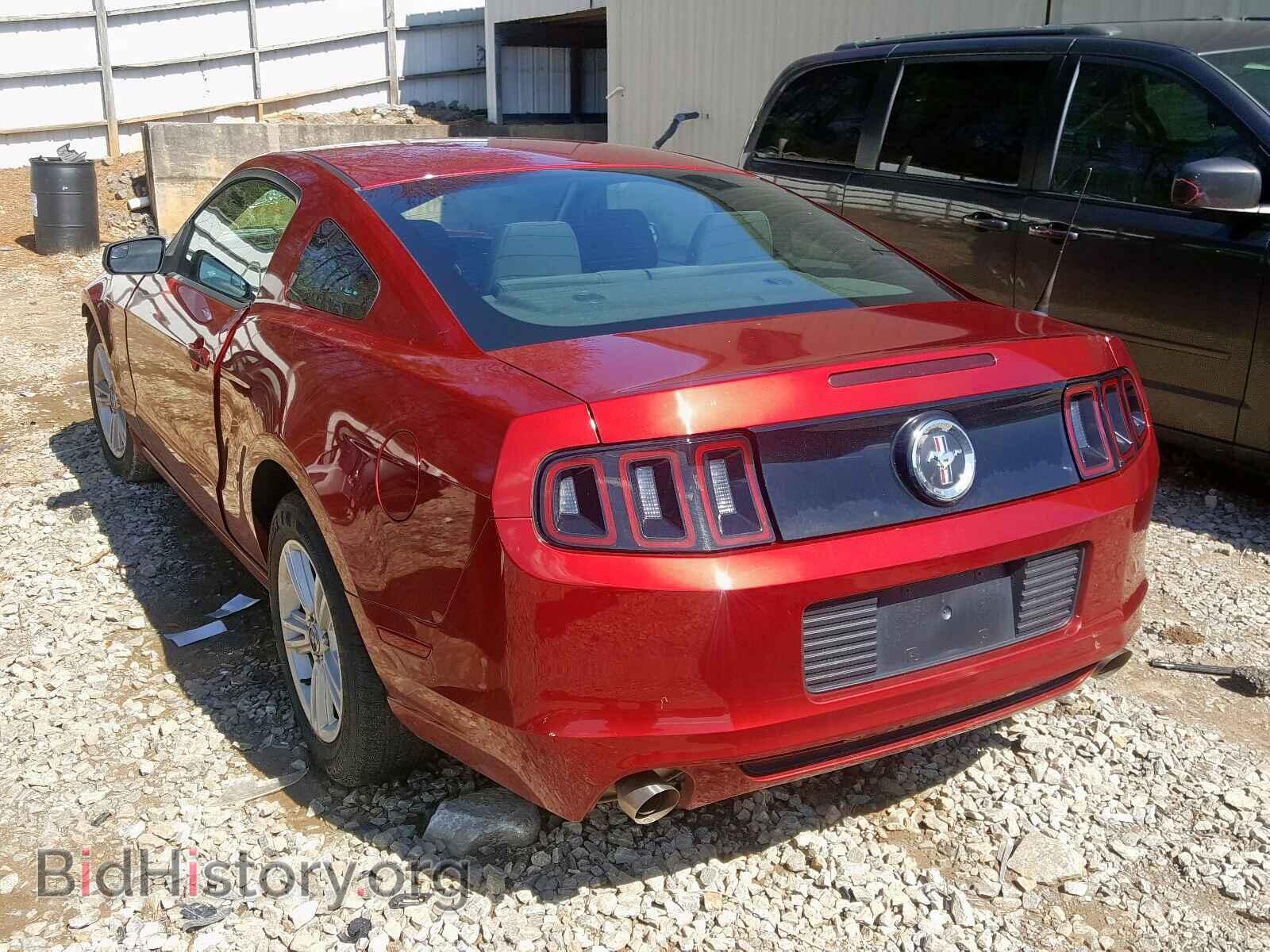 2014 FORD MUSTANG - VIN: 1ZVBP8AM2E5260671 - Фото 3