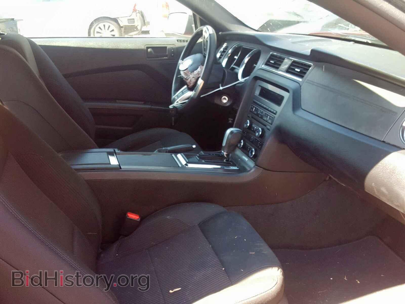 2014 FORD MUSTANG - VIN: 1ZVBP8AM2E5260671 - Фото 5