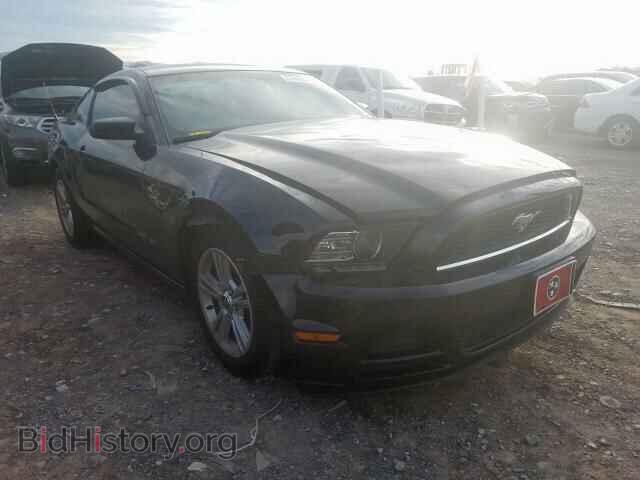 Фотография 1ZVBP8AM3E5264499 - FORD MUSTANG 2014