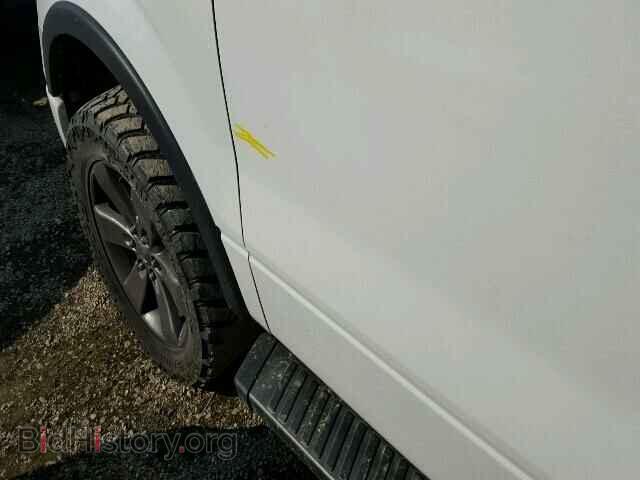 2013 FORD F150 - VIN: 1FTFW1EF9DFD45428 - Фото 10
