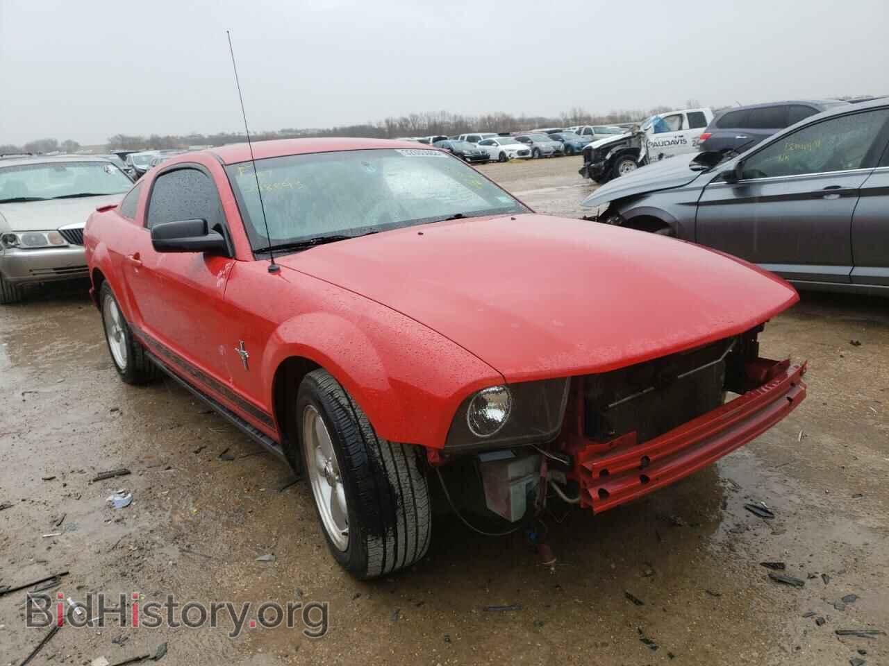 Photo 1ZVFT80N775228843 - FORD MUSTANG 2007
