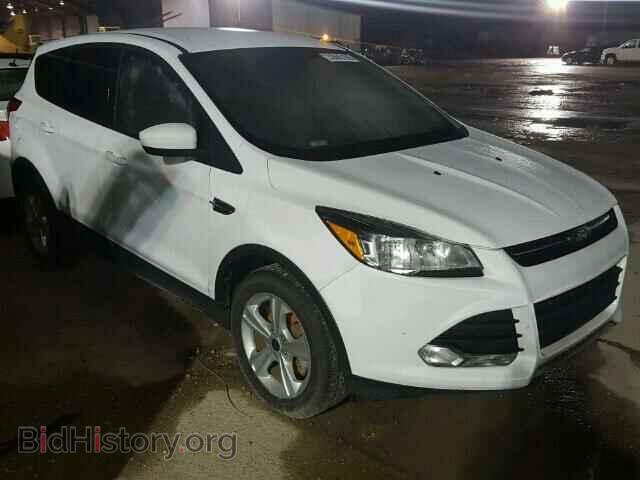 Photo 1FMCU0GX6EUA50367 - FORD ESCAPE 2014