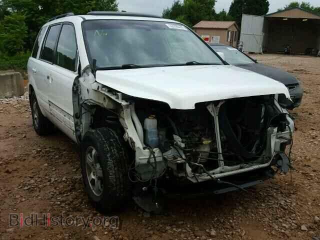 Фотография 5FNYF18537B016857 - HONDA PILOT 2007