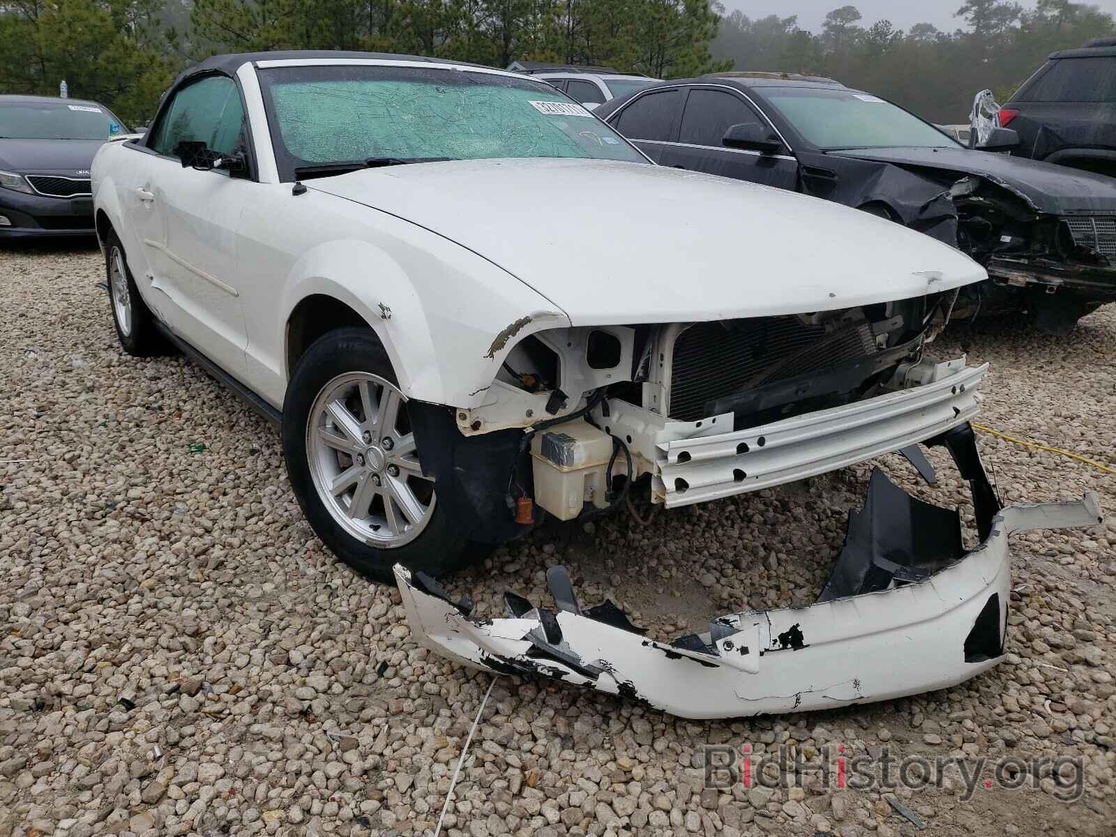 Photo 1ZVHT84N485134472 - FORD MUSTANG 2008
