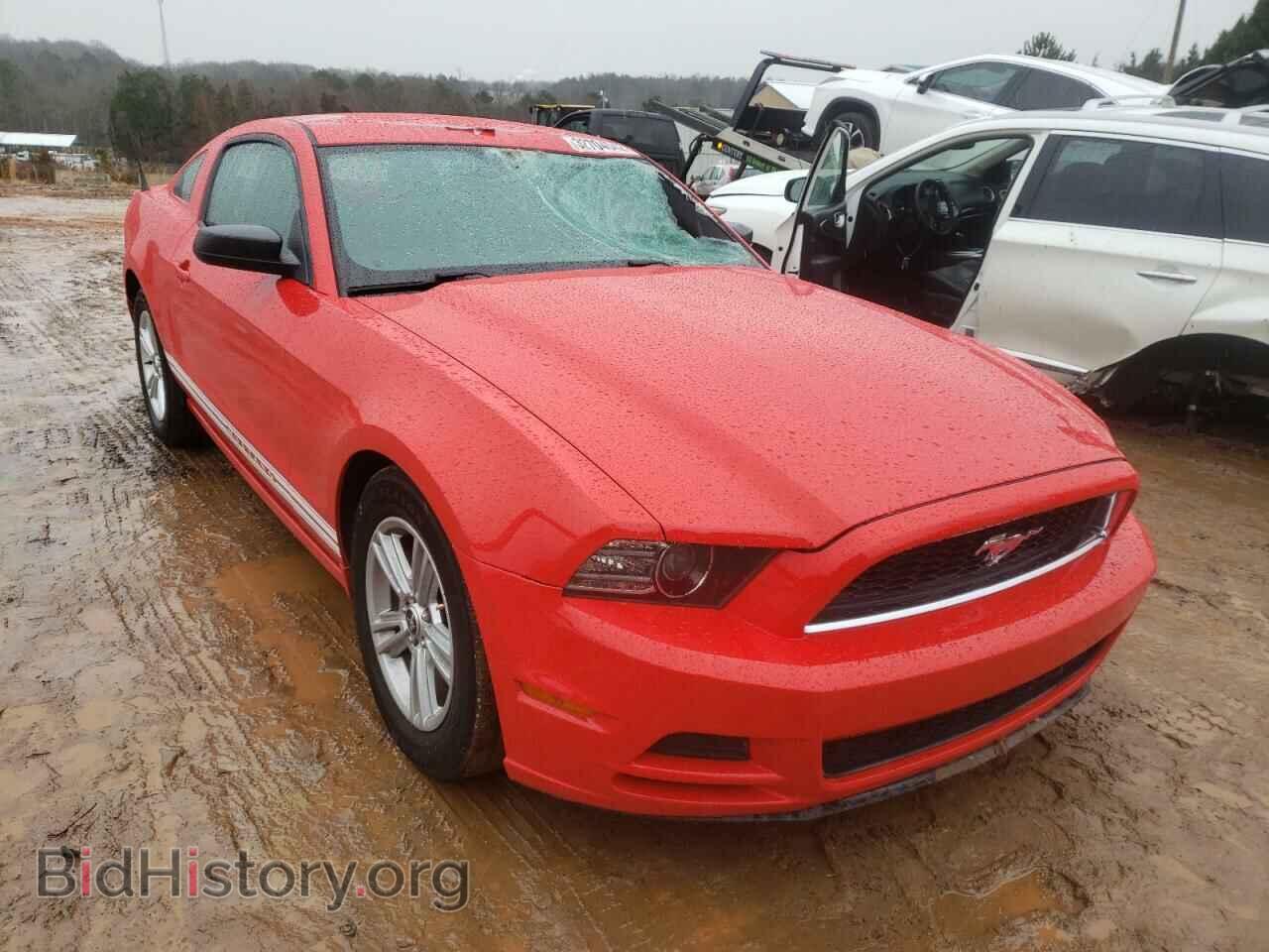 Фотография 1ZVBP8AM8E5236181 - FORD MUSTANG 2014
