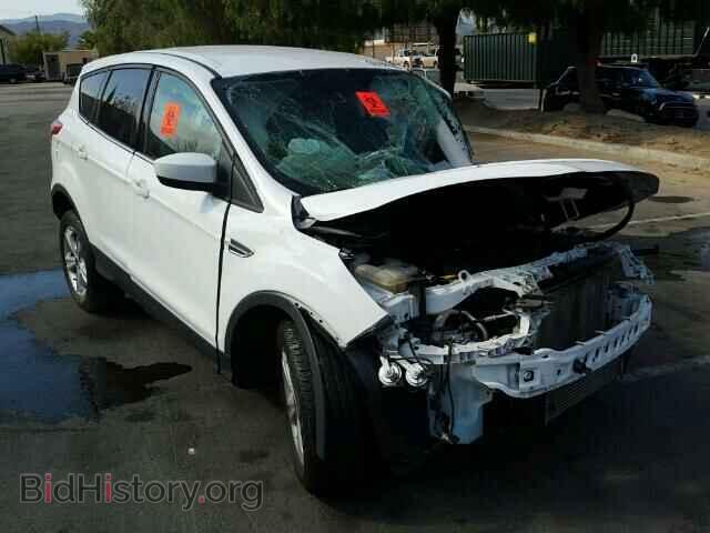 Photo 1FMCU0GX5DUC55225 - FORD ESCAPE 2013