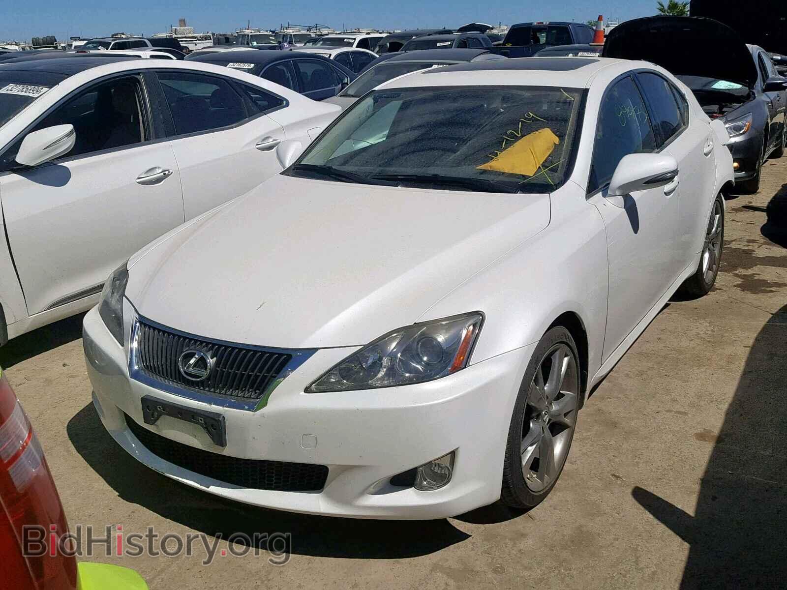 2009 LEXUS IS 250 - VIN: JTHBK262595090316 - Фото 2