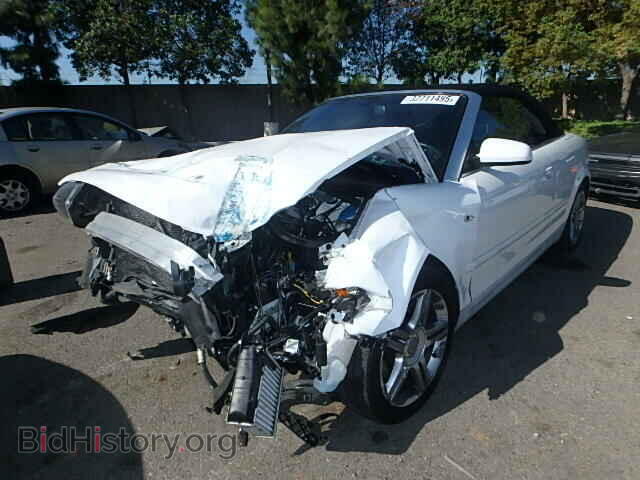 2008 AUDI A4 - VIN: WAUDF48H98K010329 - Фото 2