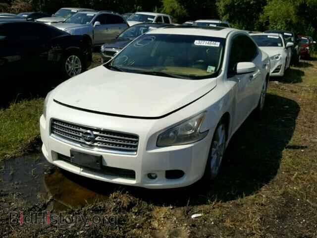 2009 NISSAN MAXIMA - VIN: 1N4AA51EX9C840801 - Фото 2