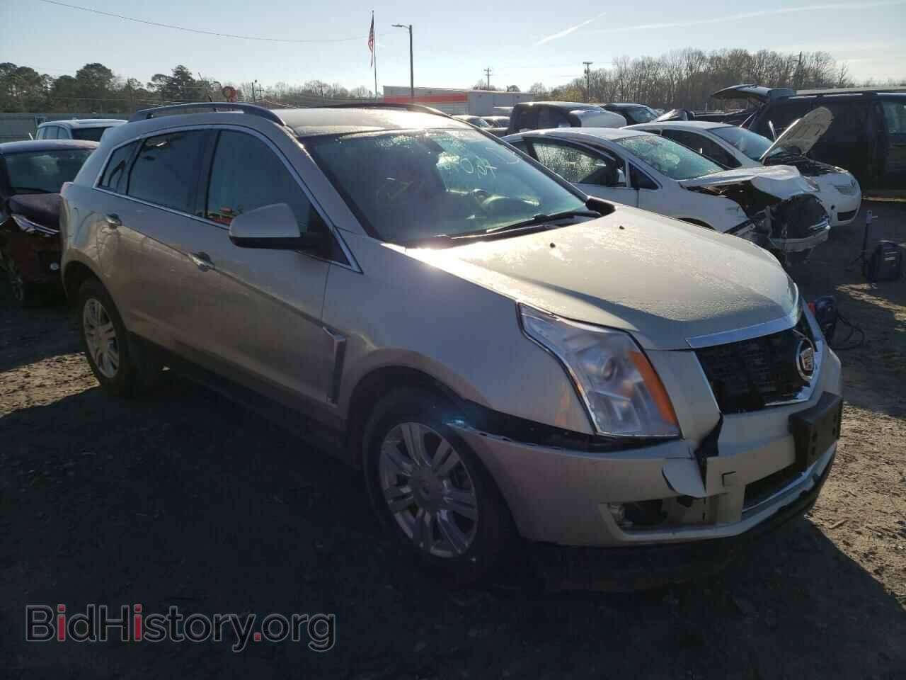 Фотография 3GYFNAE38DS624643 - CADILLAC SRX 2013
