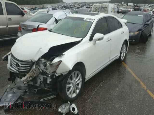 2011 LEXUS ES350 - VIN: JTHBK1EG3B2420369 - Фото 2