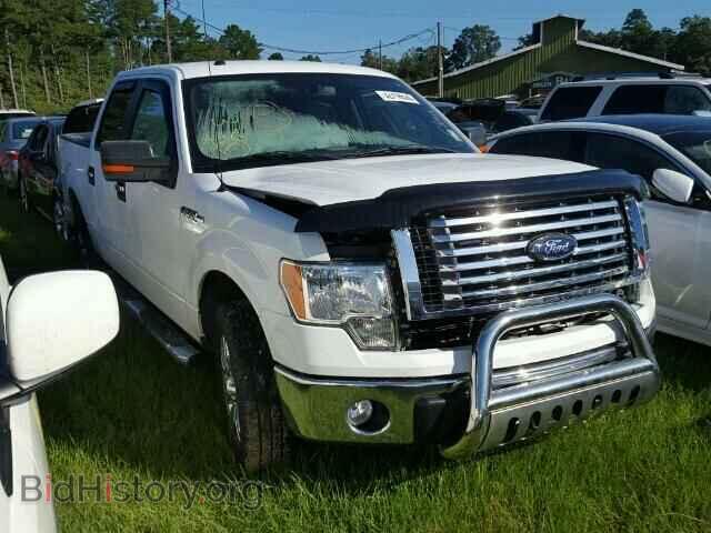 Photo 1FTEW1C82AFD72742 - FORD F150 2010