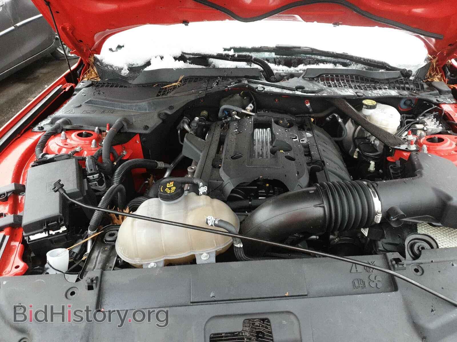 2019 FORD MUSTANG - VIN: 1FATP8UH9K5128966 - Фото 7