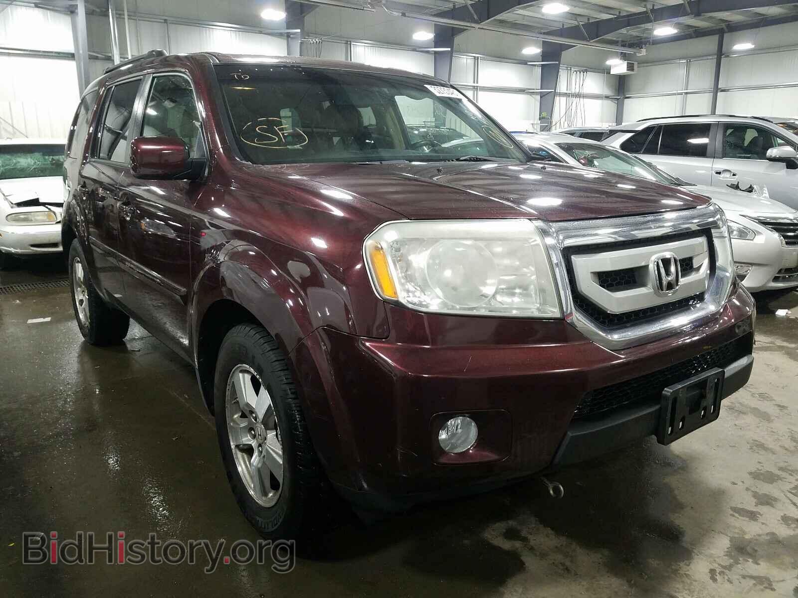 Фотография 5FNYF48529B048347 - HONDA PILOT 2009