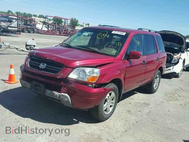 2005 HONDA PILOT - VIN: 5FNYF18515B022475 - Фото 2