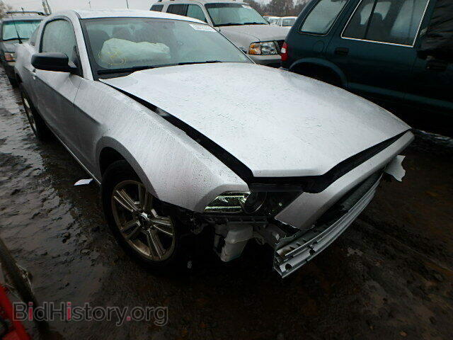 Фотография 1ZVBP8AM2E5241800 - FORD MUSTANG 2014