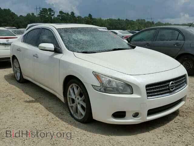 Photo 1N4AA51E59C846022 - NISSAN MAXIMA 2009