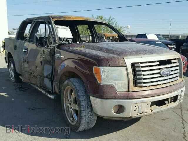 Photo 1FTEW1C86AFB68459 - FORD F150 2010