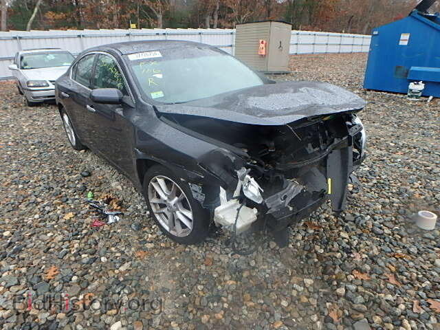 Photo 1N4AA51E09C831735 - NISSAN MAXIMA 2009