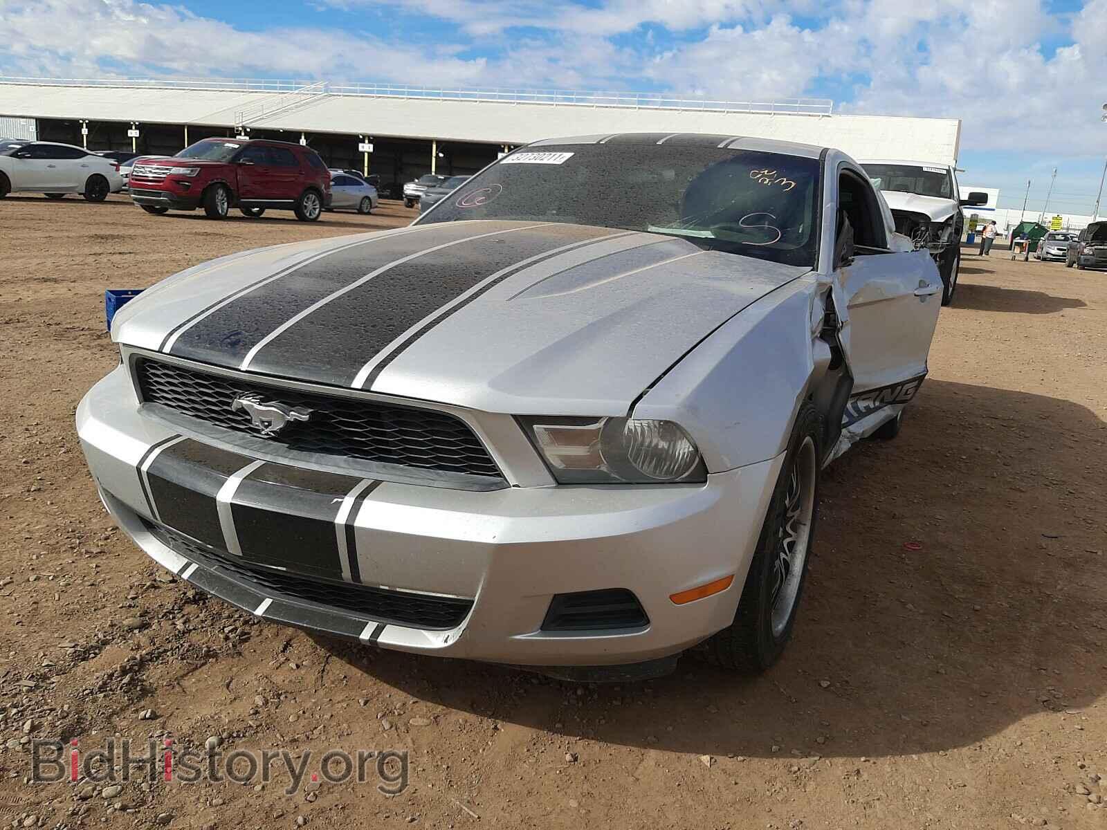 2012 FORD MUSTANG - VIN: 1ZVBP8AM8C5262308 - Фото 2
