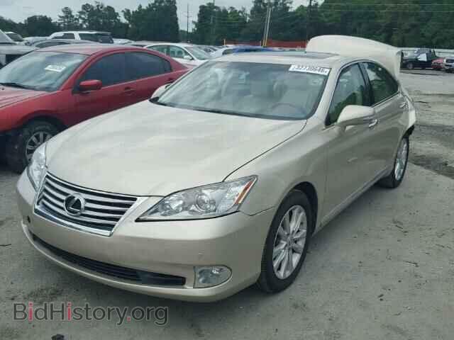 2010 LEXUS ES350 - VIN: JTHBK1EG6A2403404 - Фото 2