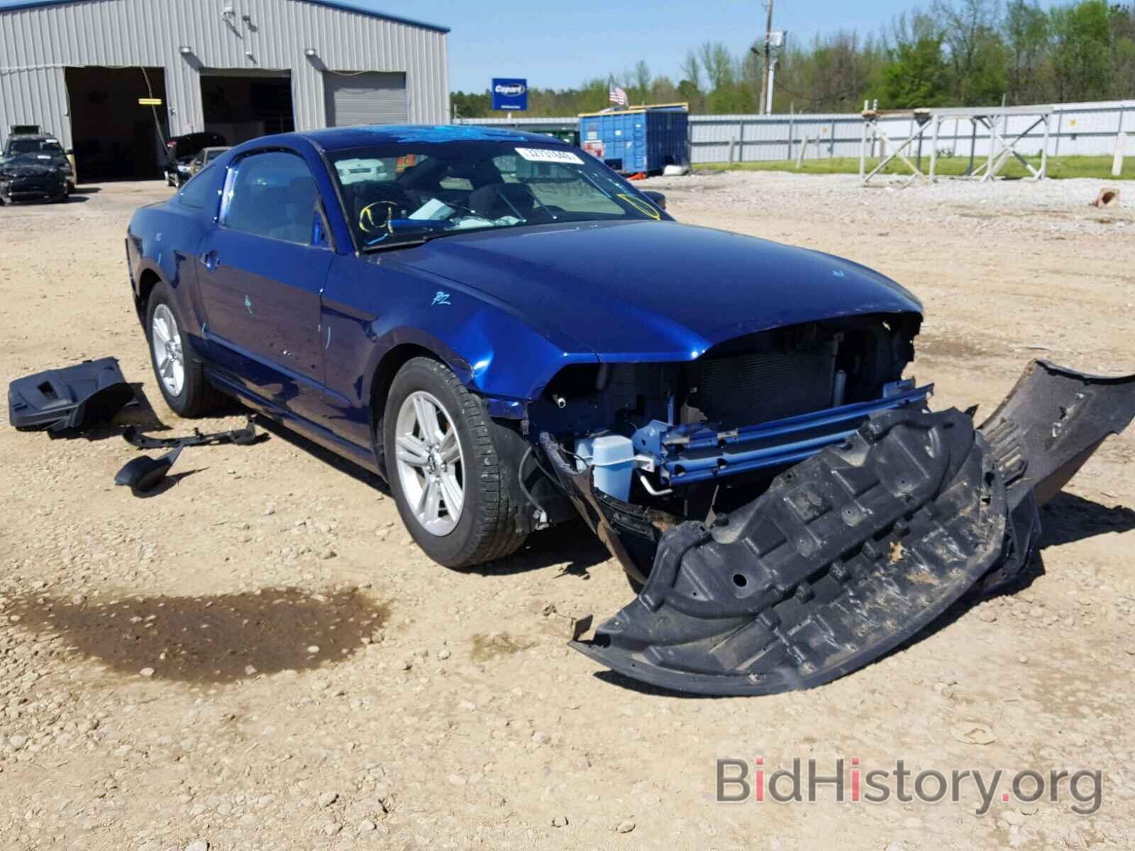 Photo 1ZVBP8AM7E5290393 - FORD MUSTANG 2014