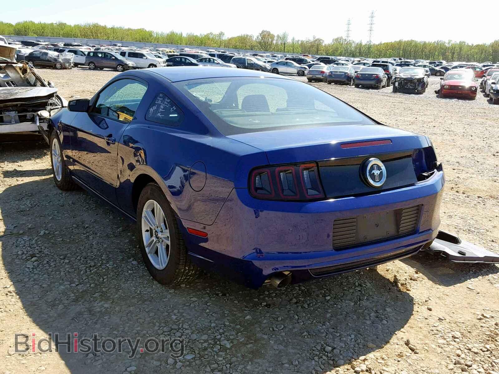 2014 FORD MUSTANG - VIN: 1ZVBP8AM7E5290393 - Фото 3