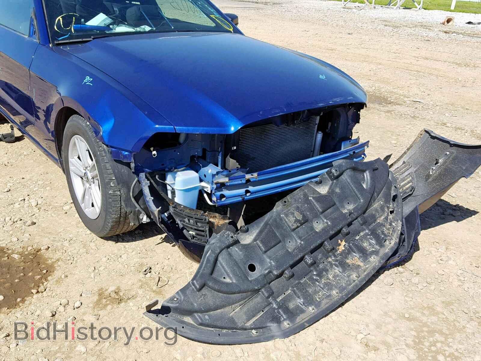 2014 FORD MUSTANG - VIN: 1ZVBP8AM7E5290393 - Фото 9