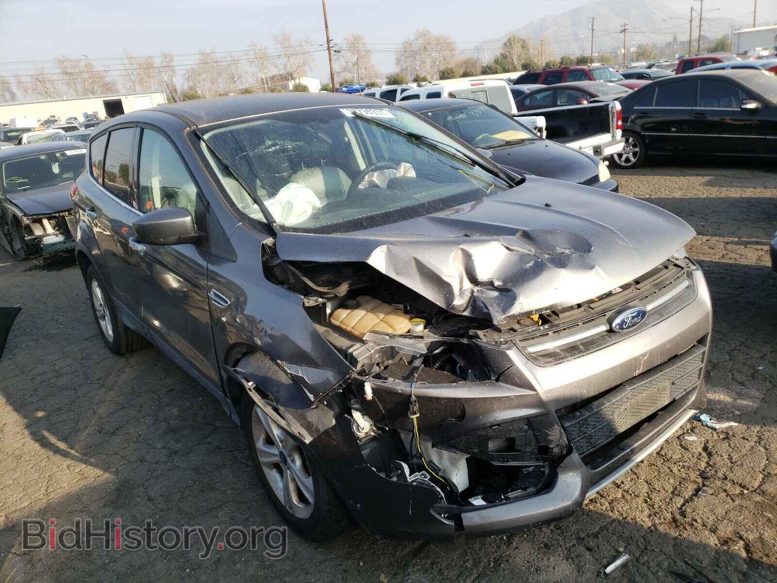 Фотография 1FMCU0G92EUB09139 - FORD ESCAPE 2014
