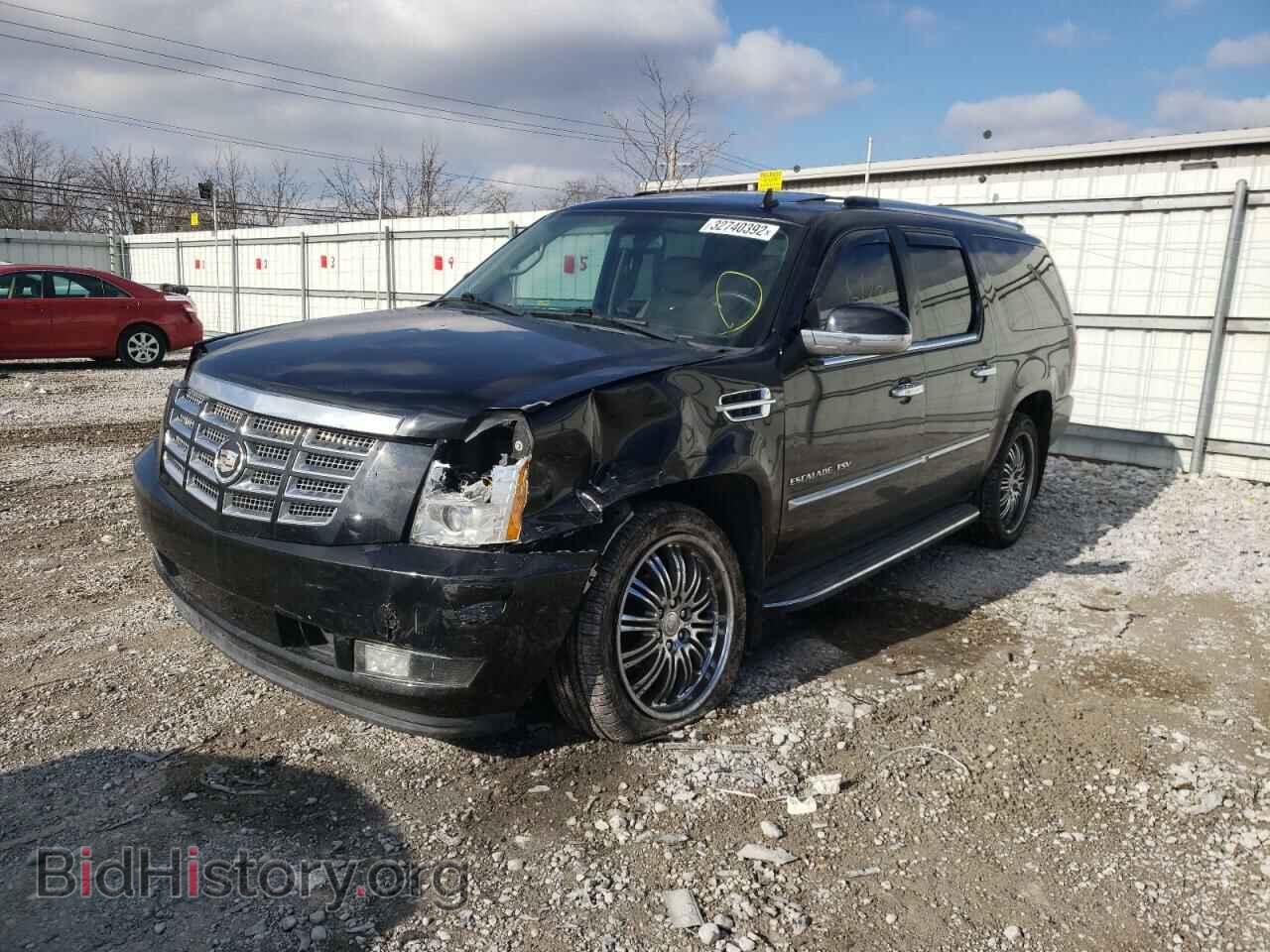 2011 CADILLAC ESCALADE - VIN: 1GYS4HEF5BR232224 - Фото 2