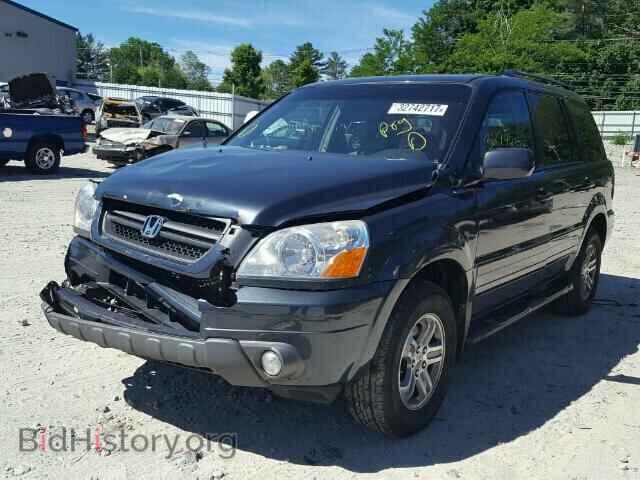 2005 HONDA PILOT - VIN: 5FNYF18515B066329 - Фото 2