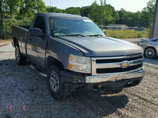 Photo 1GCEC14X78Z262390 - CHEVROLET SILVERADO 2008