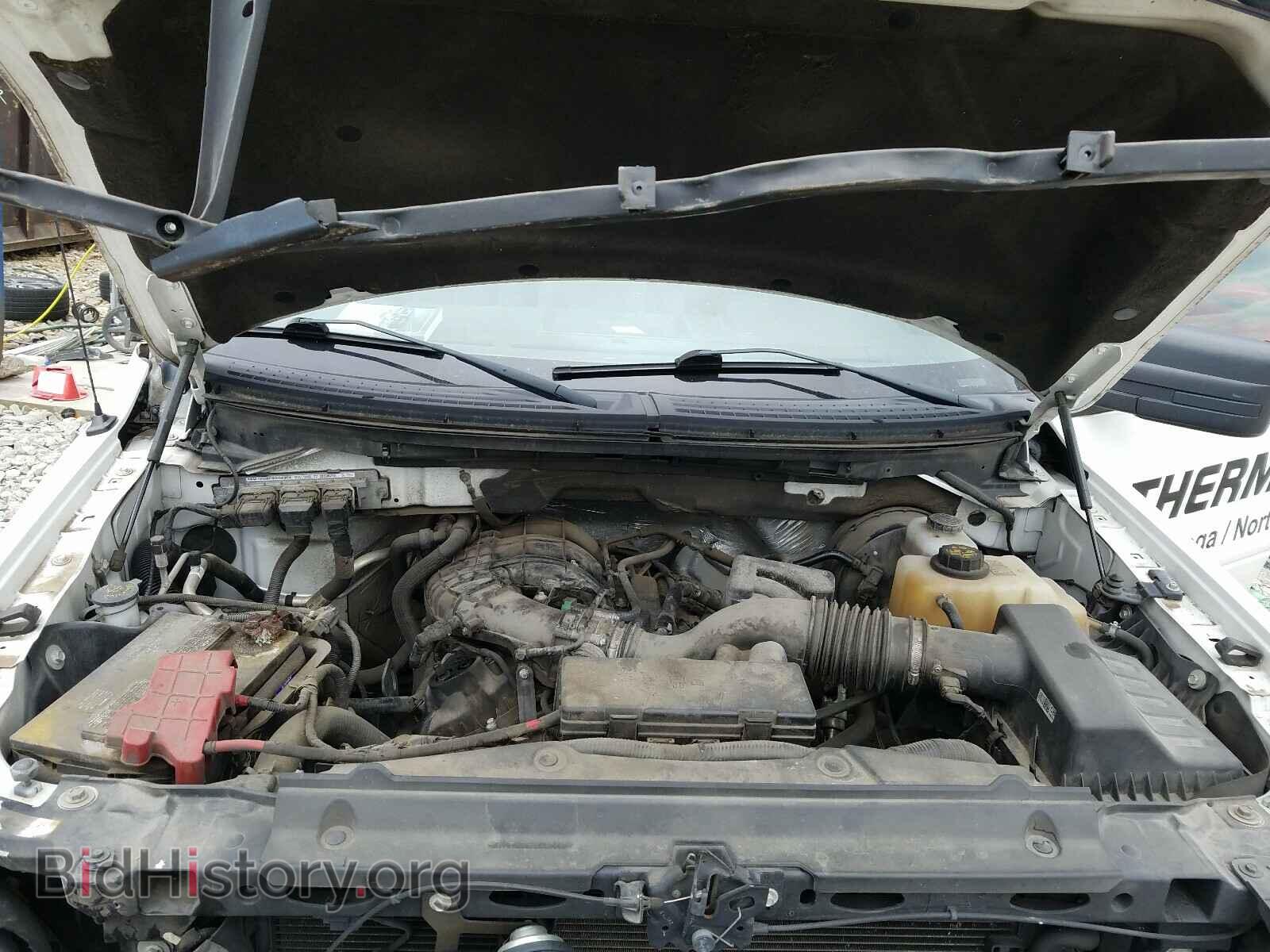 2012 FORD F150 - VIN: 1FTEX1CM2CFB96501 - Фото 7
