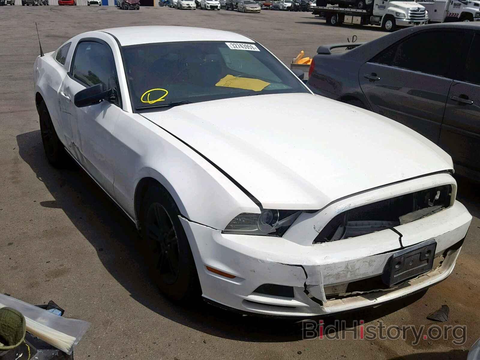 Photo 1ZVBP8AM1D5232407 - FORD MUSTANG 2013