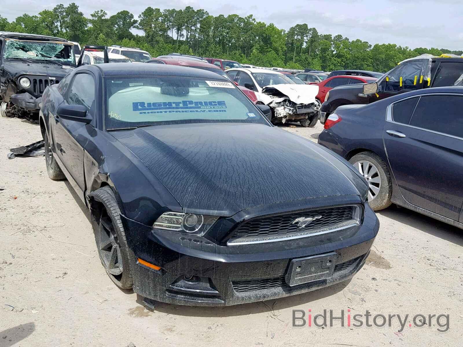 Photo 1ZVBP8AM4D5216492 - FORD MUSTANG 2013