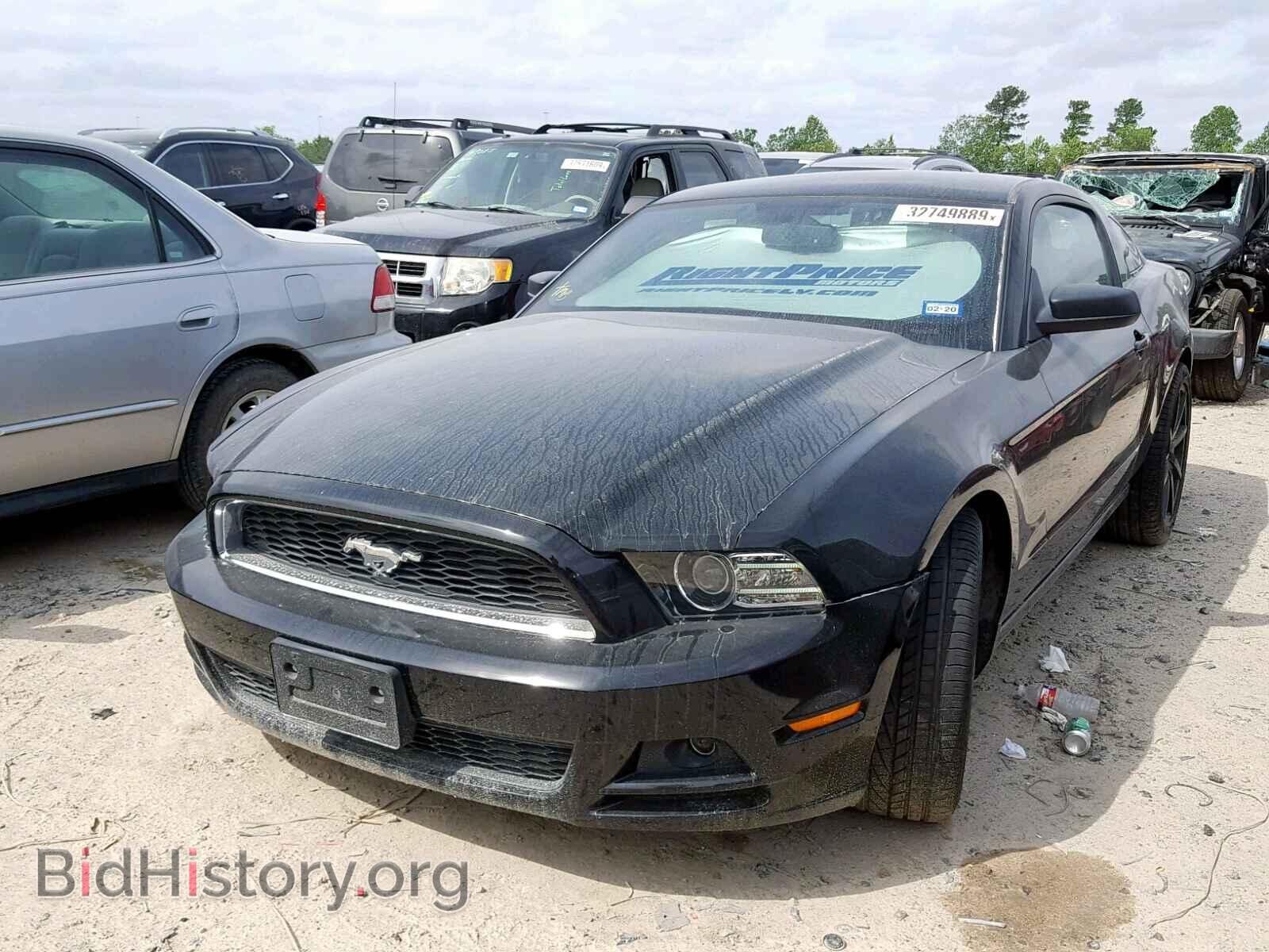 2013 FORD MUSTANG - VIN: 1ZVBP8AM4D5216492 - Фото 2