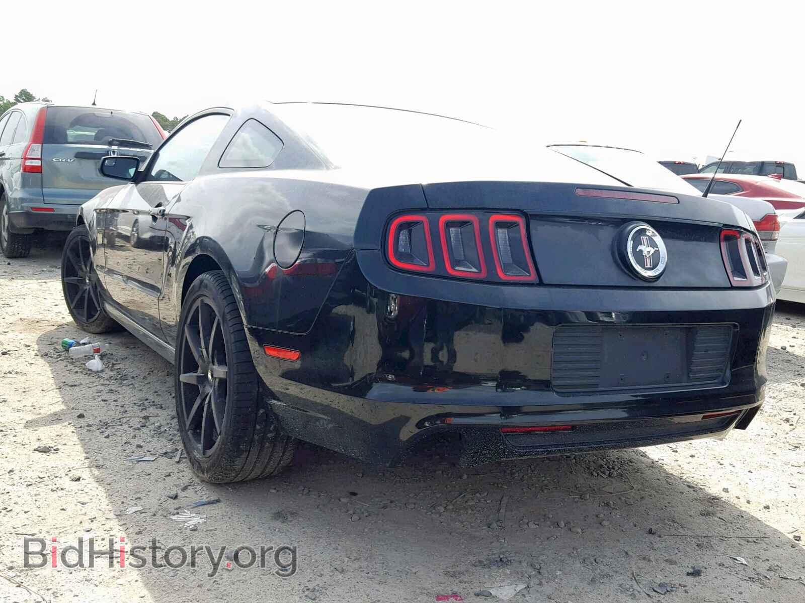 2013 FORD MUSTANG - VIN: 1ZVBP8AM4D5216492 - Фото 3