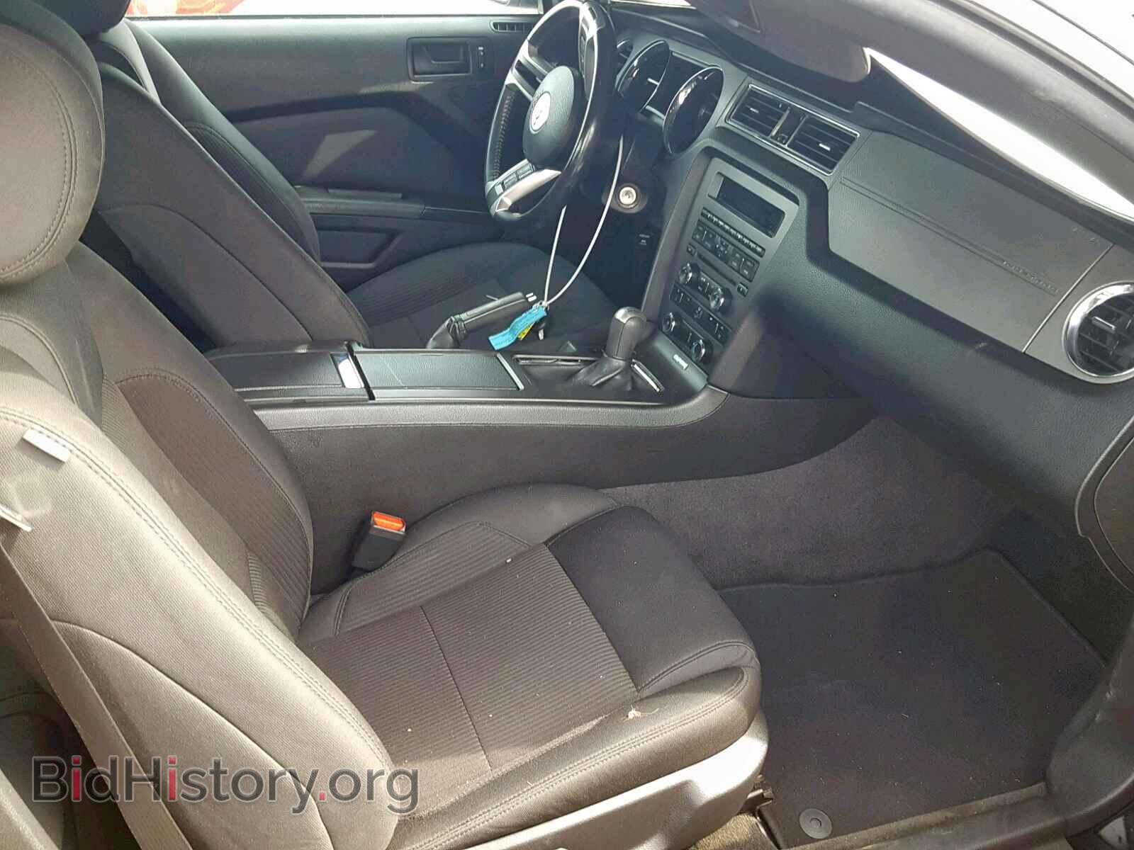 2013 FORD MUSTANG - VIN: 1ZVBP8AM4D5216492 - Фото 5