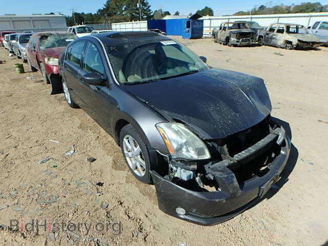 Photo 1N4BA41EX5C866517 - NISSAN MAXIMA 2005