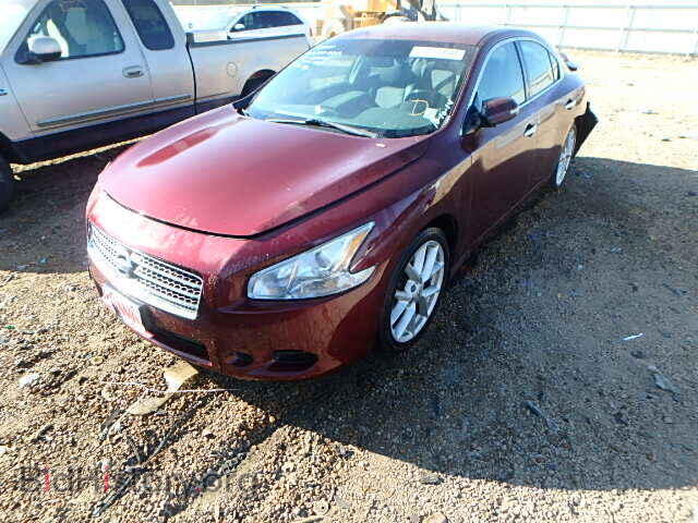 2009 NISSAN MAXIMA - VIN: 1N4AA51E39C827520 - Фото 2