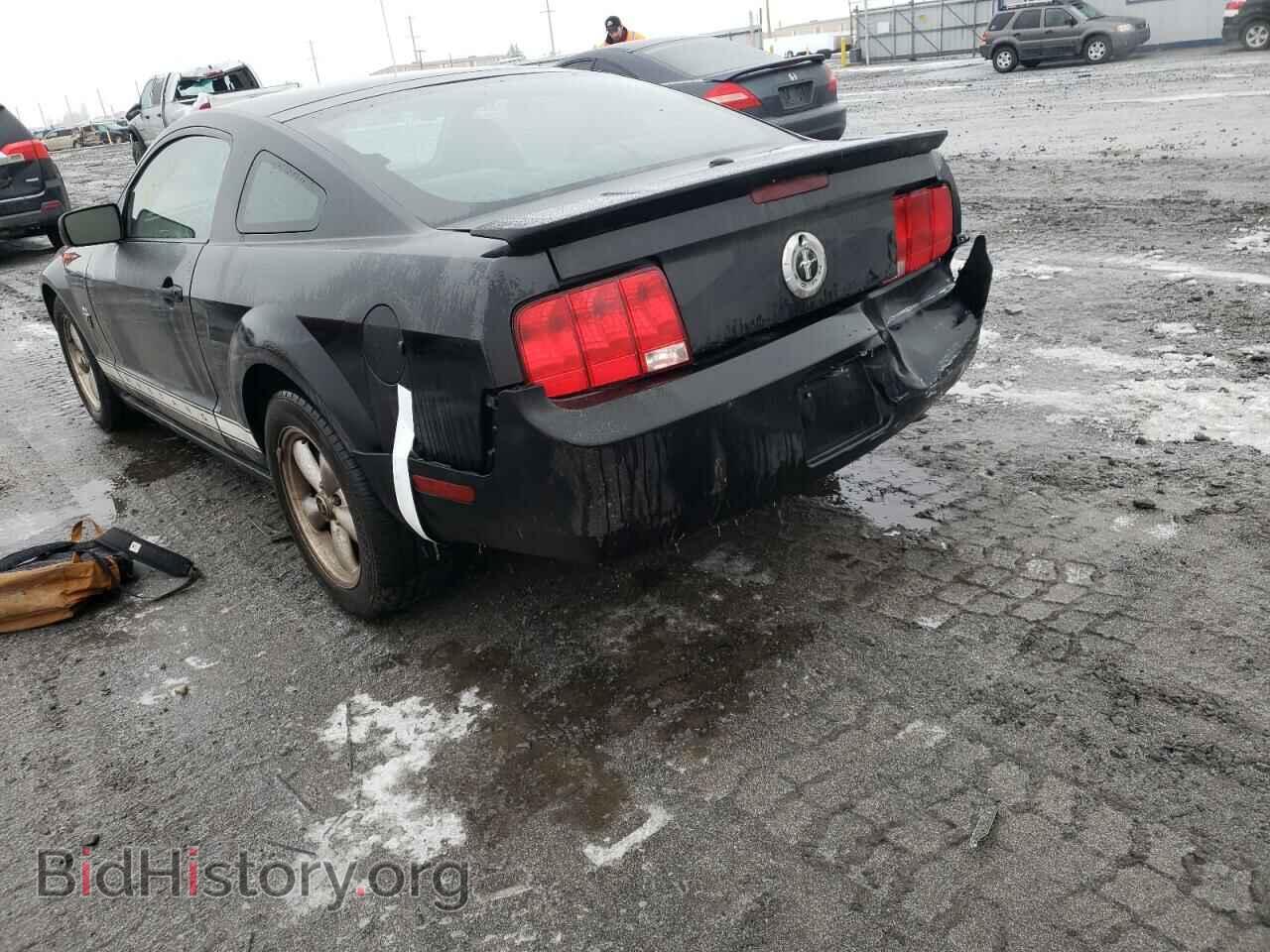 2009 FORD MUSTANG - VIN: 1ZVHT80N395138049 - Фото 3