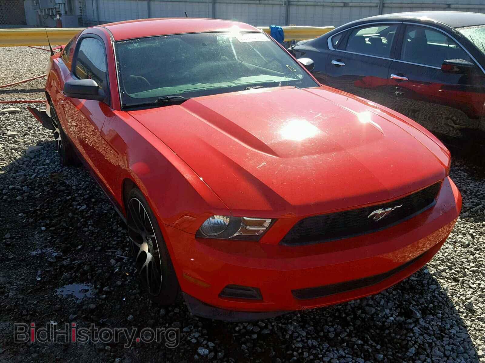 Photo 1ZVBP8AM0B5132800 - FORD MUSTANG 2011