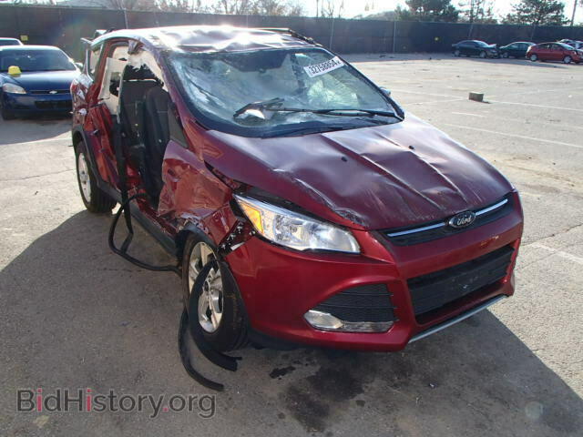 Фотография 1FMCU0GX7EUD64349 - FORD ESCAPE 2014