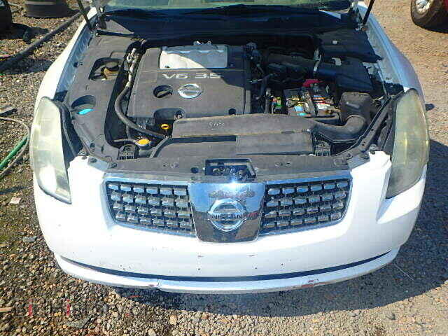 2005 NISSAN MAXIMA - VIN: 1N4BA41E15C802401 - Фото 7