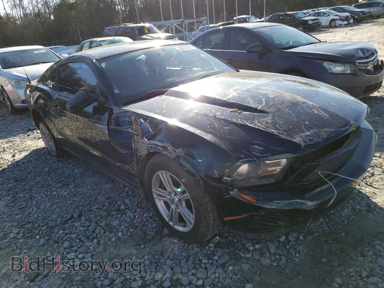 Photo 1ZVBP8AM8C5268741 - FORD MUSTANG 2012
