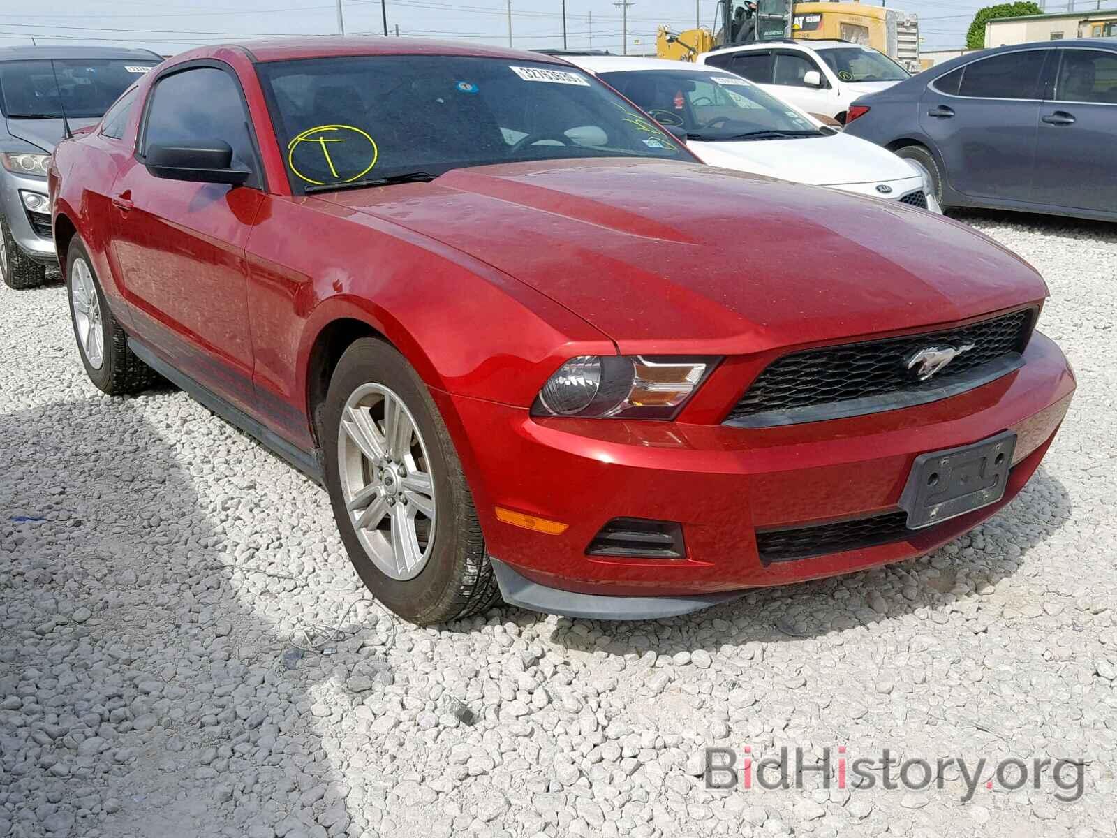 Photo 1ZVBP8AM3C5251054 - FORD MUSTANG 2012