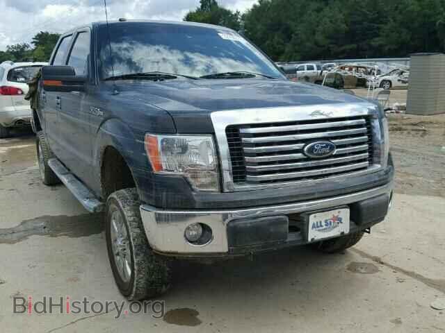 Фотография 1FTFW1CF5CKE15208 - FORD F150 2012