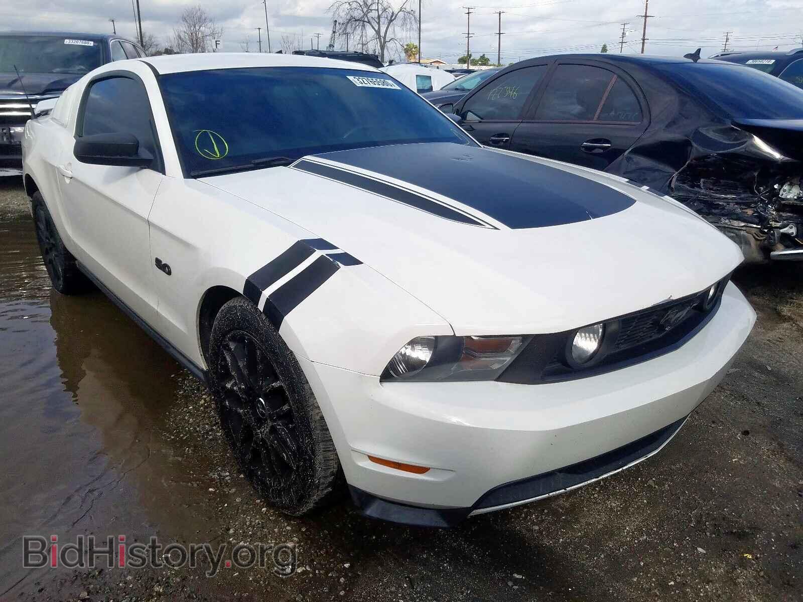 Фотография 1ZVBP8CF7C5201269 - FORD MUSTANG 2012