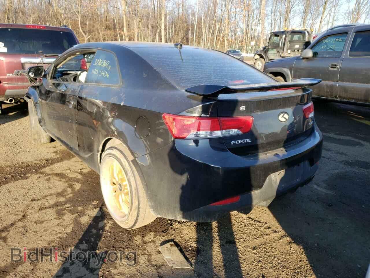 2013 KIA FORTE - VIN: KNAFW6A35D5674509 - Фото 3